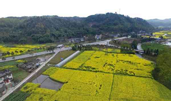 春季四川游 小长假自驾好去处