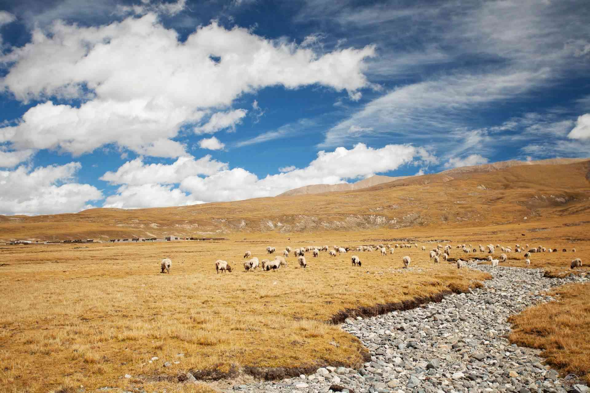 去西藏怎能不了解交通方式