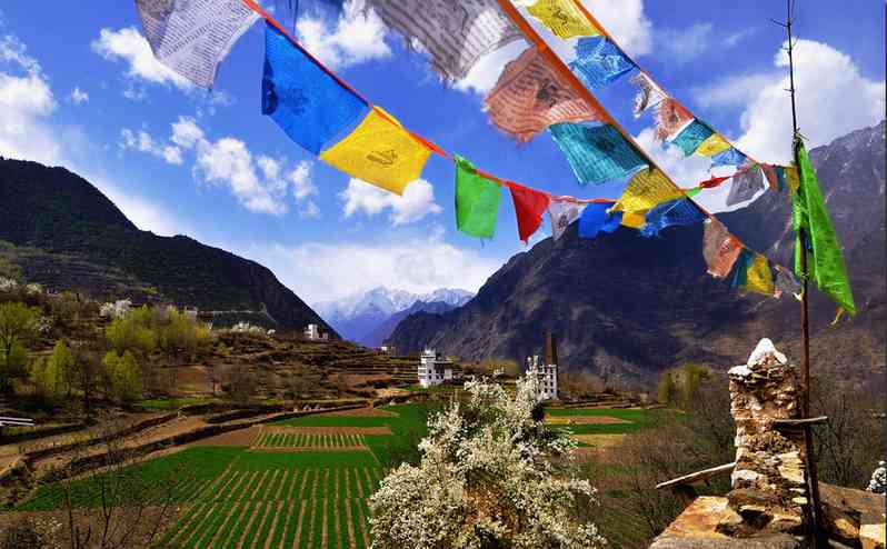 藏区最美的春天——丹巴梨花