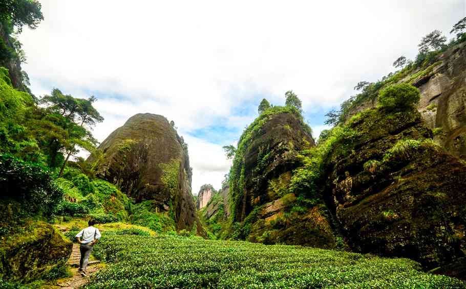 神话武夷山，岩茶的故乡