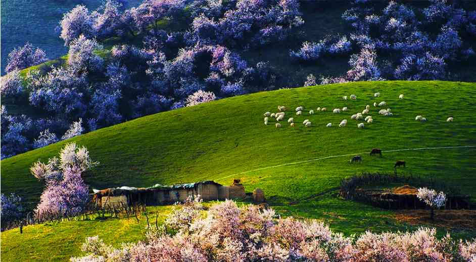 踏足早春新疆，新疆早春绝美景色有哪些？