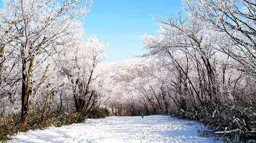 龙王山雪景什么时候有？徒步登顶难度大吗？