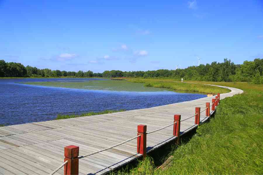 夏季去坝上，就来塞罕坝