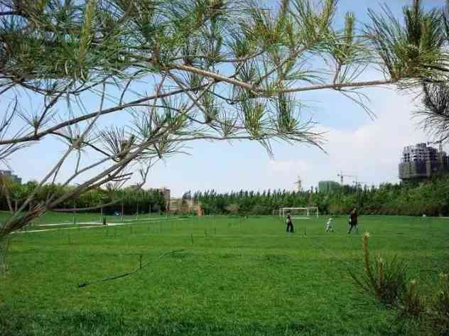 银川免费景点大集合