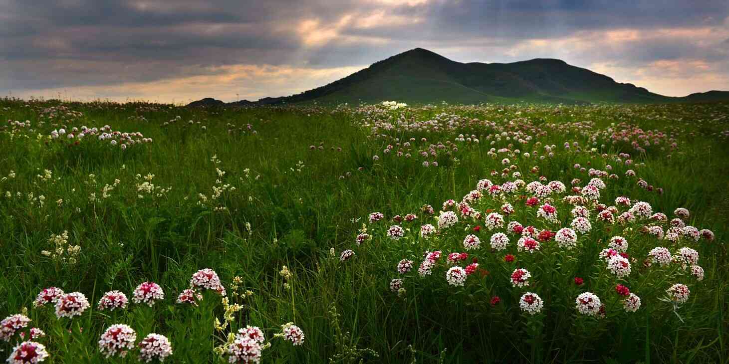 乌兰布统最美的季节是什么时候？