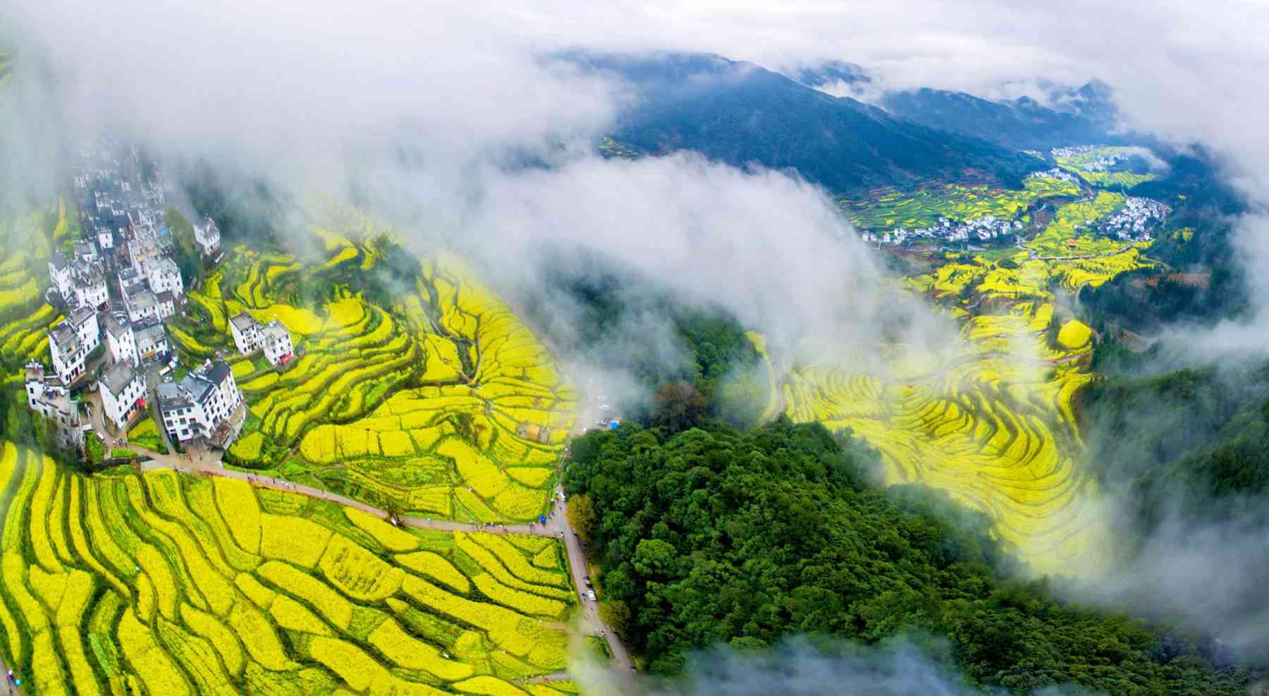 婺源旅游什么时候去最好