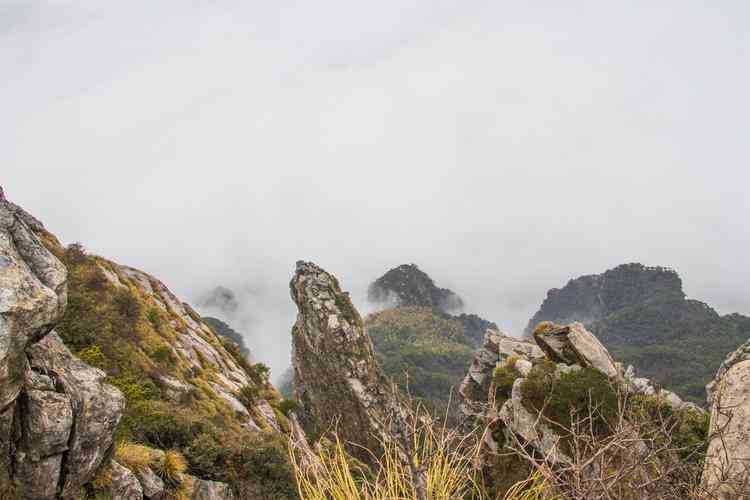 庐山门票多少钱？庐山旅游攻略