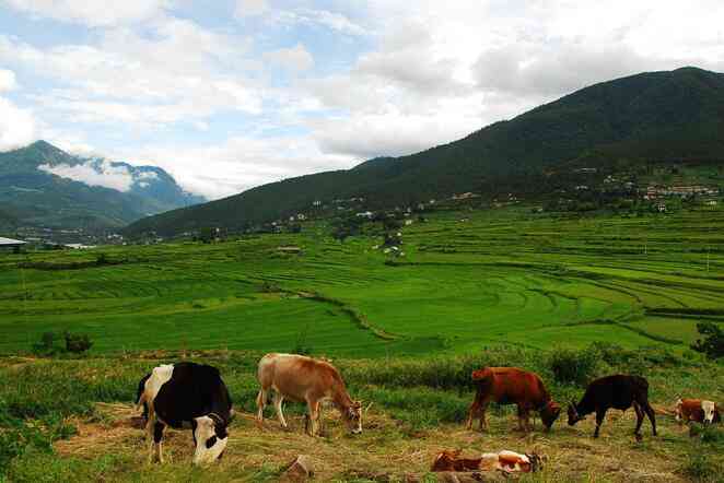 不丹有哪些非去不可的地方