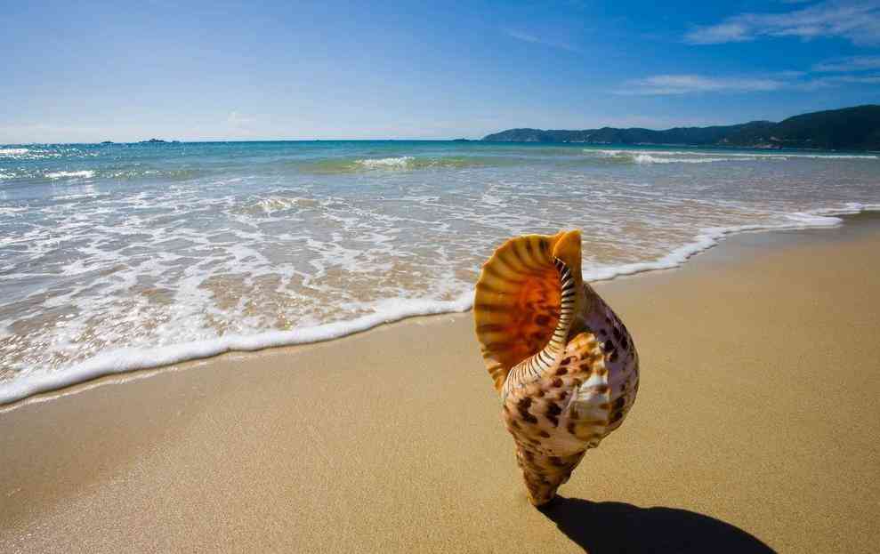 海南旅游注意事项 在海南你需要注意的小贴士