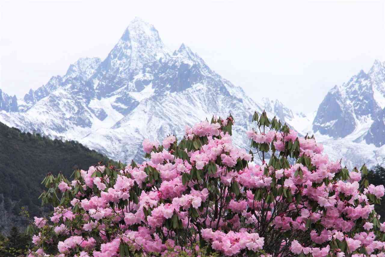 贡嘎雪山在哪里？夏天去体验怎样？