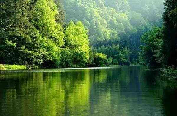 贵州国家森林公园哪些值得一看？ 贵州绝佳森林公园推荐