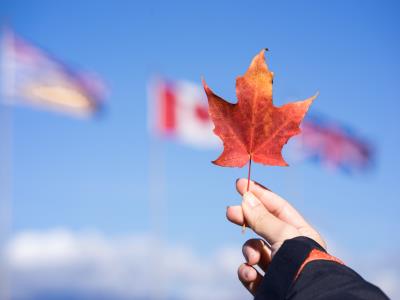 出行记录对申请加拿大签证重要吗？