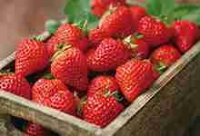 新鲜草莓怎么保存 草莓如何保存时间长