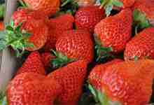 吃草莓的好处 草莓对人的6大益处