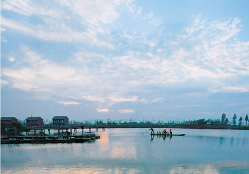 淀山湖湿地