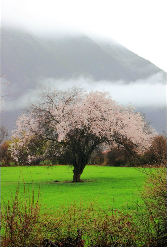 桃花沟风景区