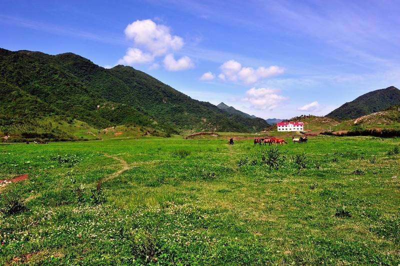 红池坝高山草场