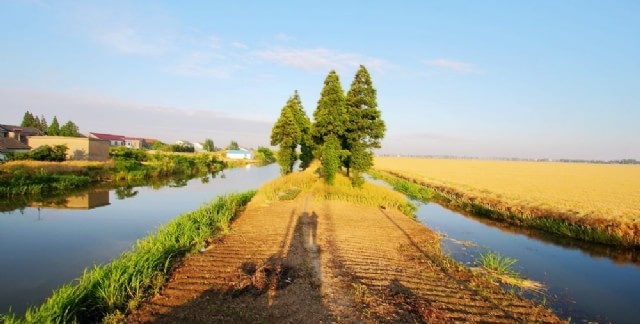 常阴沙生态农业度假区