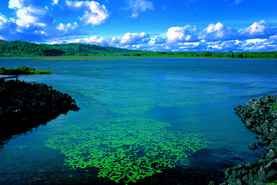 杜鹃湖