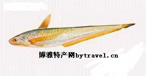 芜湖刀鱼