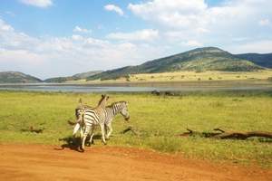 【坦桑尼亚肯尼亚12天】阿联酋旅游推荐 去阿联酋旅游度假