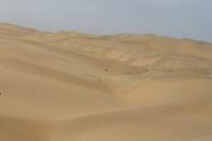 十一到内蒙古库鄂尔多斯库布其沙漠探险一日游【领略大漠风光】