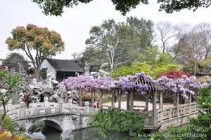 石家庄到华东旅游|（横店、金华诸葛八卦村、绍兴义乌杭州）七日