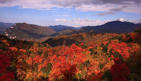 <红叶绝天下光雾山3日自驾游>全程领航服务 重庆起止