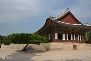 青岛到韩国的线路 韩国游 济州岛旅游韩国釜山首尔济州四飞六日