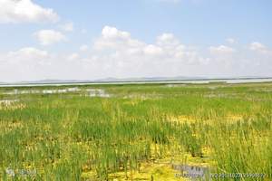 成都到红原若尔盖大草原九曲花湖三日游价格_大草原天气怎么样