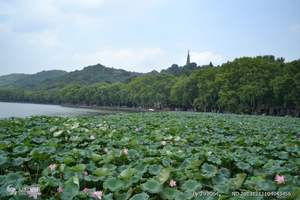 华东五市+水乡周庄+鼋头渚+船游西湖太湖双飞五天 水乡周庄