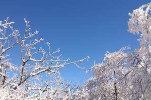 北京到绍兴热门旅游线路 华东三市 金牌水乡乌镇西栅高飞4日游