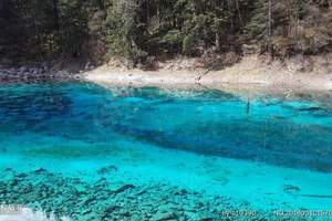 成都去九寨沟黄龙 九曲花湖 西部牧场 达扎寺4日游团购价格