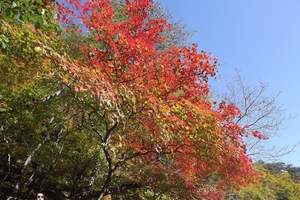 沈阳到关门山旅游 沈阳到关门山一日游 沈阳到本溪关门山旅游