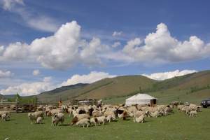 2014年内蒙古、鄂尔多斯8天自驾游_成都开车去内蒙古自驾游
