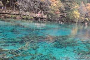 【浮潜一流 促销精选】马尔代夫班度士岛6天4晚自由行