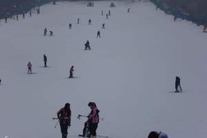 平山神鹿滑雪一日游
