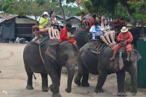 乌市泰国包机旅游--"泰玩美"之象岛超值8日游