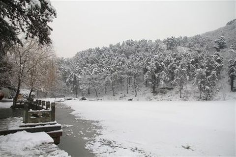 <呼伦贝尔半自助5日游>随走随停，赏冰玩雪（当地游）