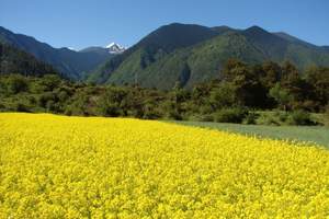 婺源景德镇纯玩二日游（李坑江湾晓起彩虹桥经典景点）