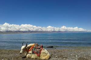 西藏旅游：圣湖纳木错1日游