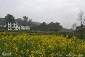 黄山千岛湖婺源旅游线路报价_黄山婺源千岛湖三日游价格