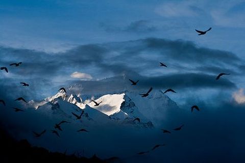 <布达拉宫-大昭寺-林芝-日喀则珠峰9日游>西藏冬游旅程（当地游）
