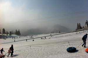 仙女山-天坑三桥-含换车费-重庆旅游后花园2日游-仙女山旅游