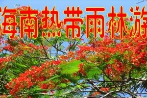 <海南6日游>三亚爸妈六天五晚游+自由行指南，海南六日游报价