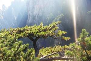 特价上海到黄山旅游_上海到黄山旅游报价_黄山3日游2晚住山上