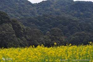 湖南崀山高铁旅游 湖南崀山旅游攻略 深圳到崀山四天高铁游