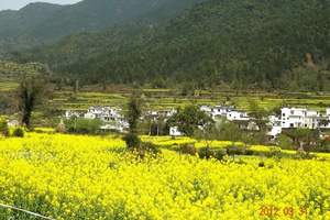 青岛去江西旅游攻略 【庐山、婺源、景德镇经典六日游】