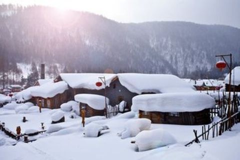 <亚布力-雪乡3日游>哈尔滨起止、滑雪、赏雪（当地游）